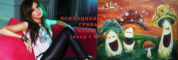 jwh Горно-Алтайск