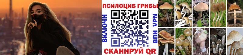 Псилоцибиновые грибы мухоморы  хочу наркоту  Дрезна 